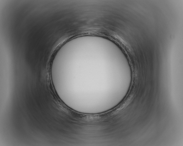 X0000112361354200908131226