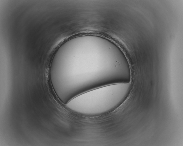 X0000112361355200908131226
