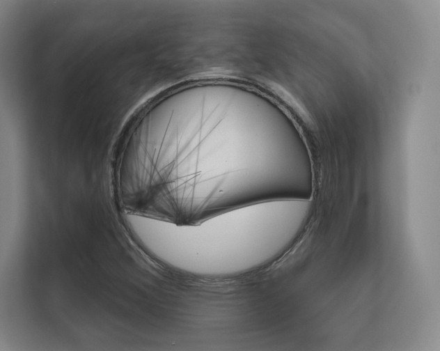 X0000112361356200908131226
