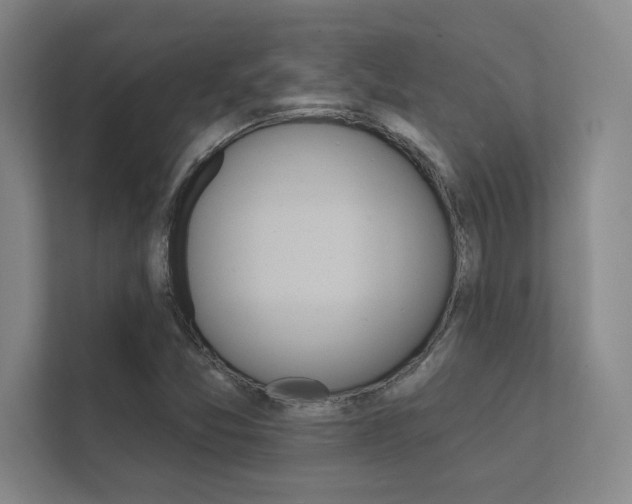 X0000112361357200908131226