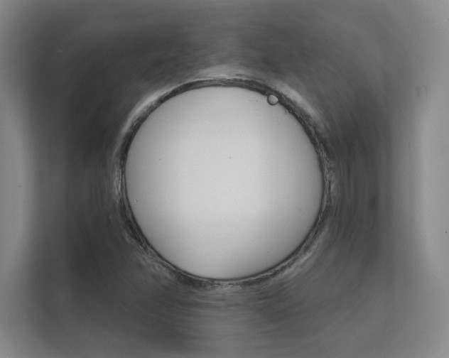 X0000112361358200908131226