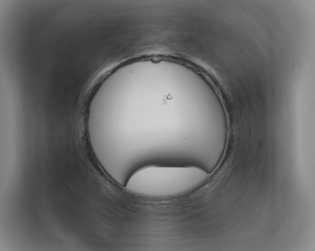 X0000112361359200908131226