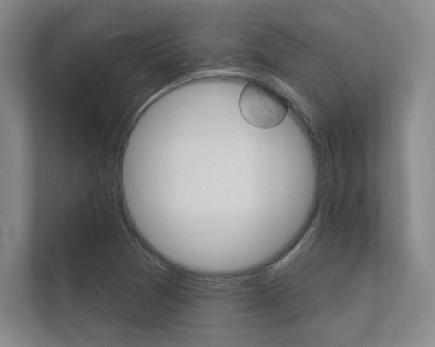 X0000112361361200908131226