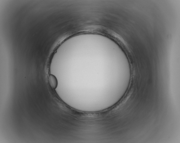 X0000112361362200908131226