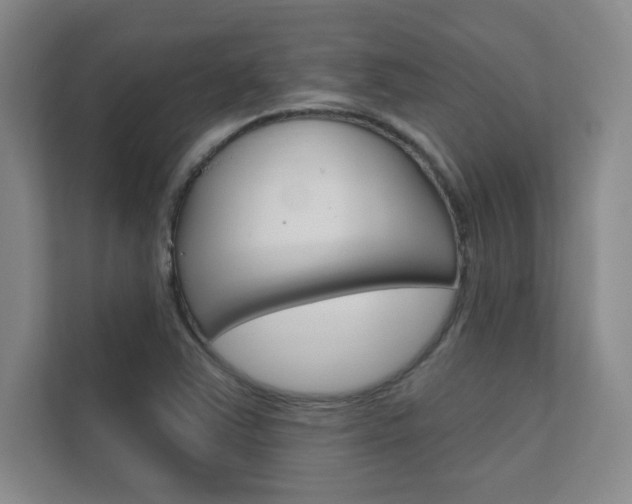 X0000112361363200908131226