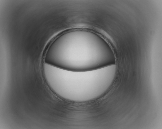 X0000112361364200908131226