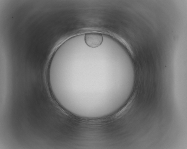 X0000112361365200908131226