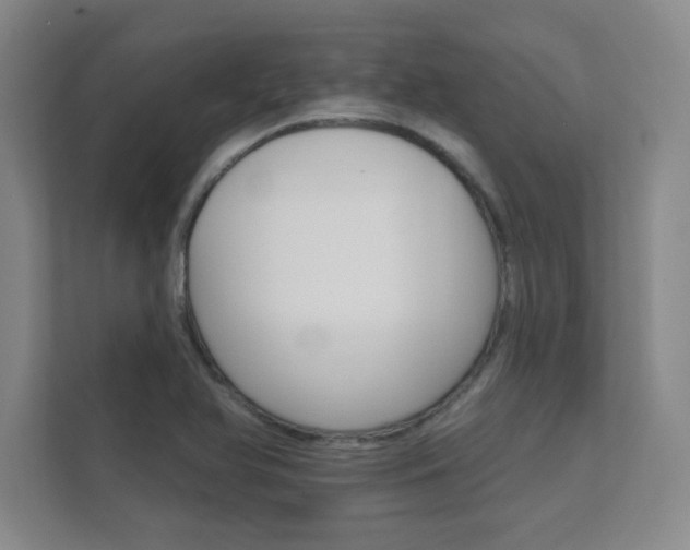 X0000112361366200908131226