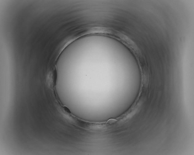 X0000112361369200908131226