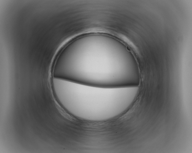 X0000112361372200908131226