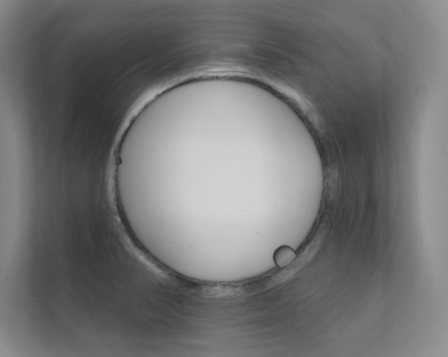 X0000112361374200908131226