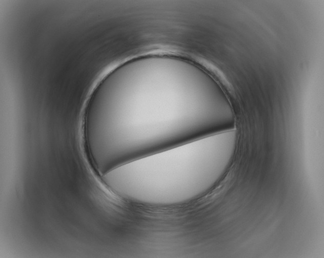 X0000112361375200908131226