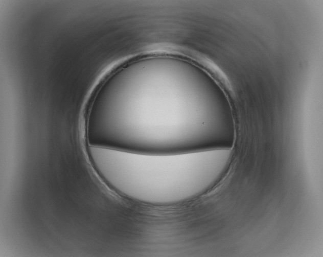 X0000112361376200908131226