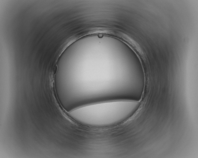 X0000112361377200908131226