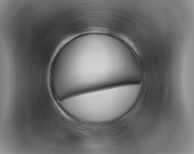 X0000112361379200908131226