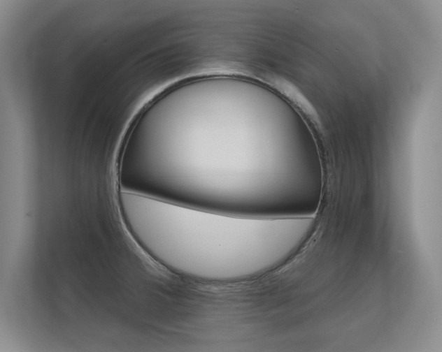 X0000112361380200908131226