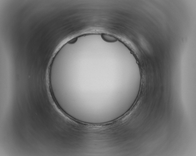 X0000112361382200908131226