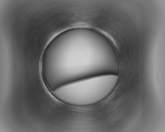 X0000112361383200908131226