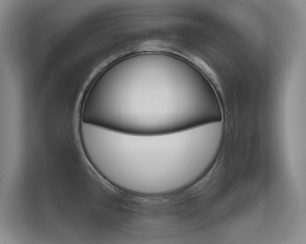 X0000112361384200908131226