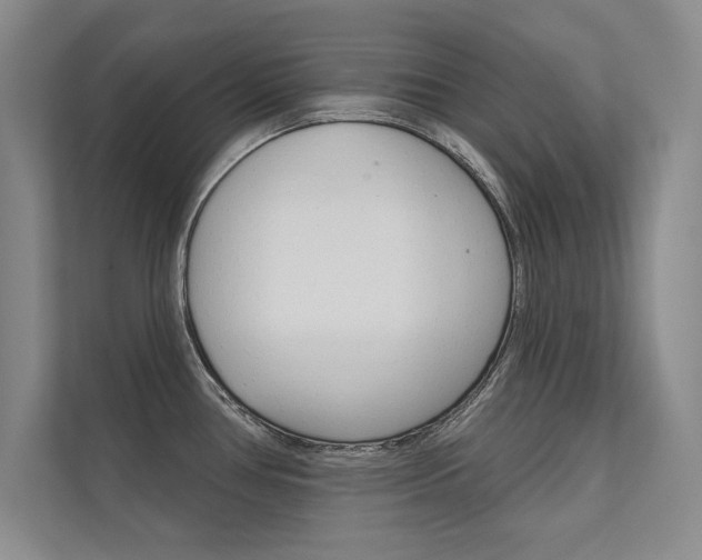 X0000112361386200908131226