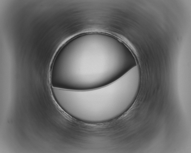 X0000112361388200908131225
