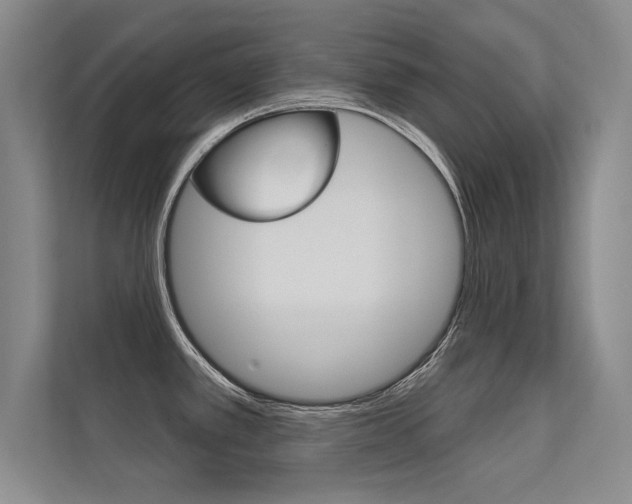X0000112361389200908131225