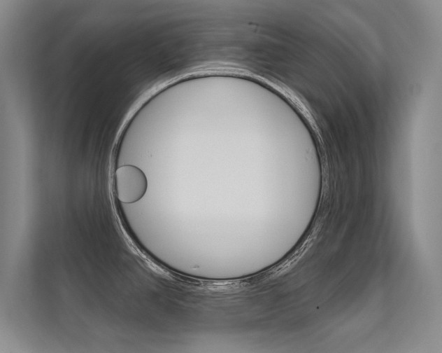 X0000112361390200908131225