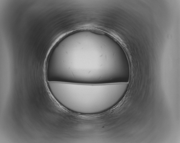 X0000112361392200908131225