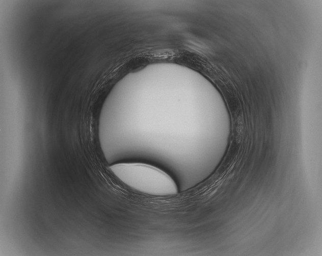 X0000112361394200908131225