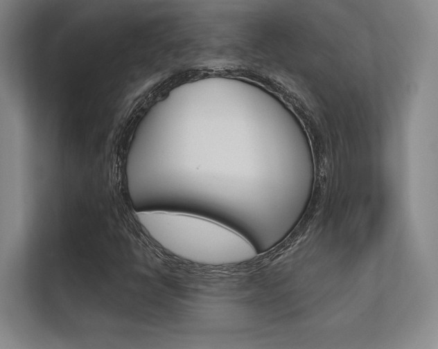 X0000112361398200908131225