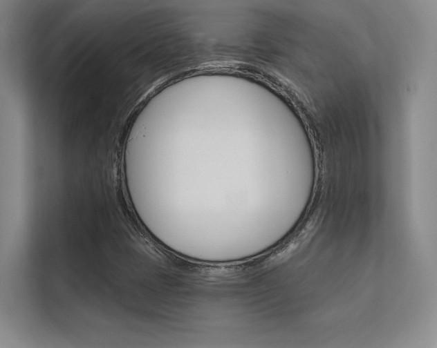 X0000112361401200908131225