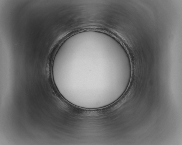 X0000112361402200908131225