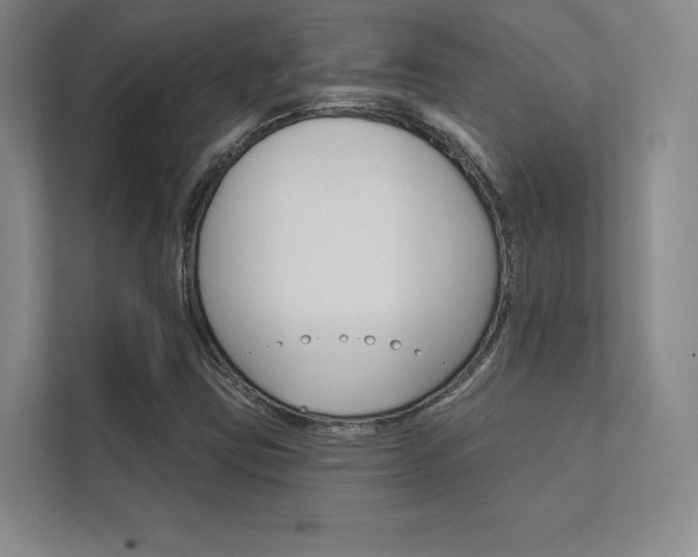 X0000112361403200908131225