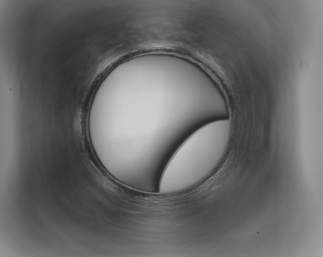 X0000112361404200908131225