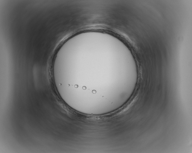 X0000112361405200908131225
