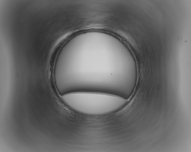 X0000112361406200908131225