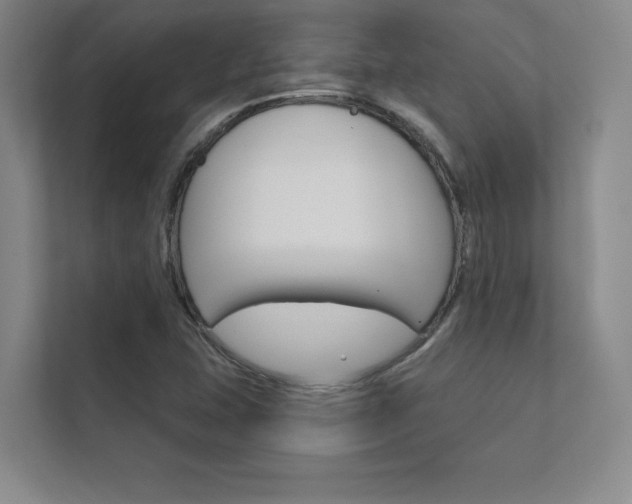 X0000112361407200908131225