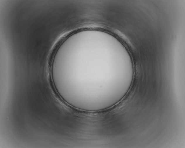 X0000112361408200908131225