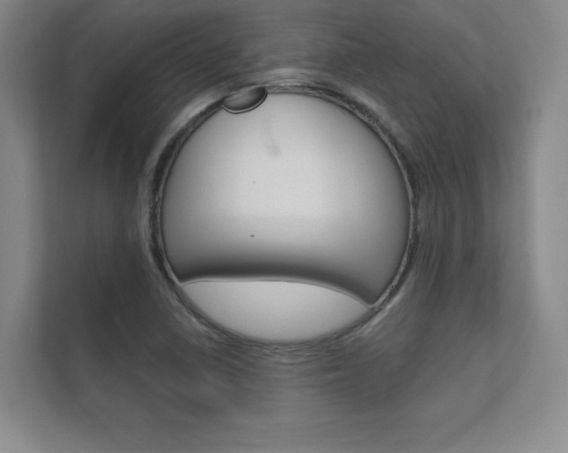 X0000112361410200908131225