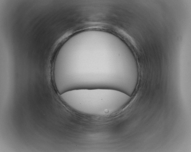 X0000112361411200908131225