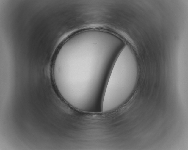 X0000112361412200908131225