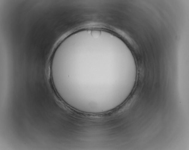 X0000112361413200908131225