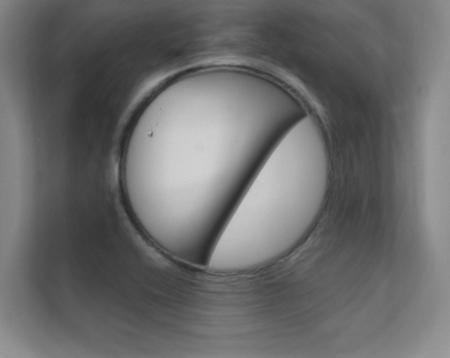 X0000112361416200908131225