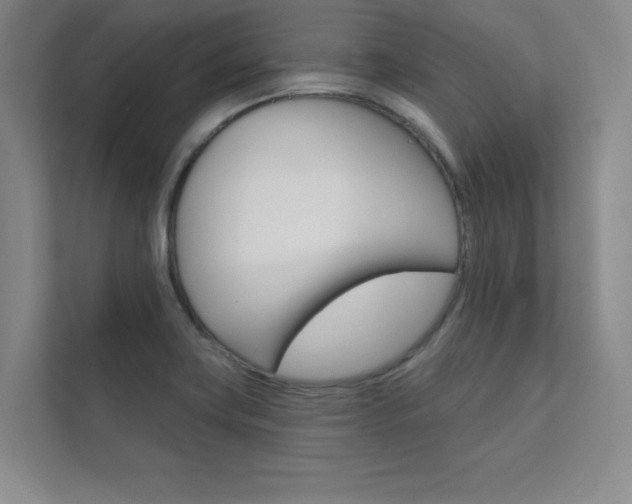 X0000112361419200908131225