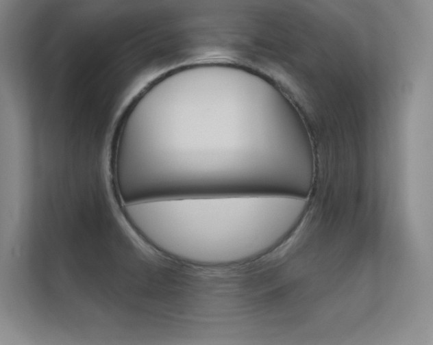 X0000112361422200908131225