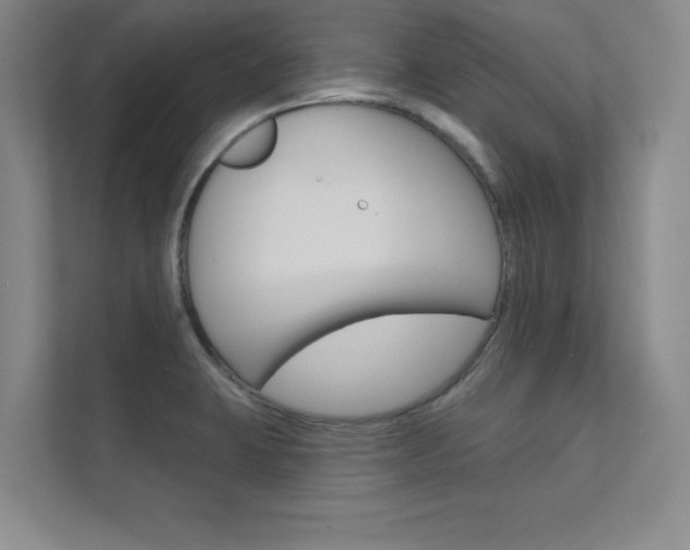 X0000112361423200908131225
