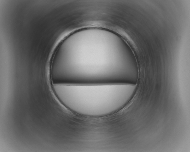 X0000112361424200908131225