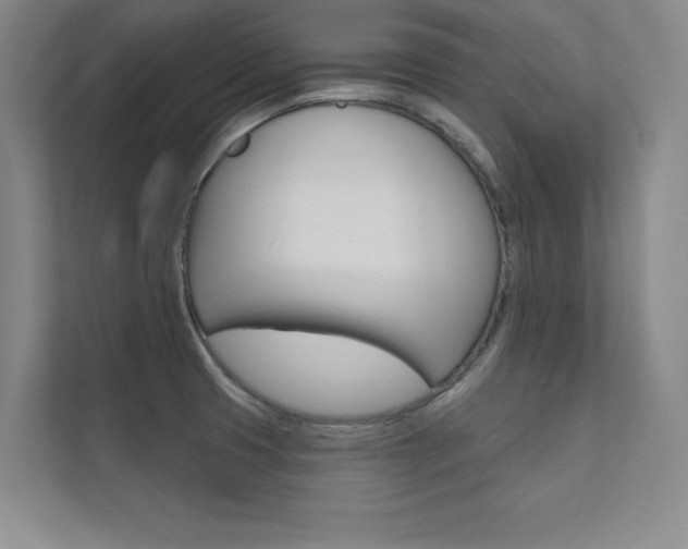 X0000112361425200908131225