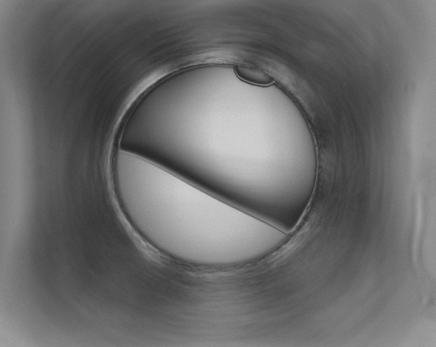 X0000112361426200908131225