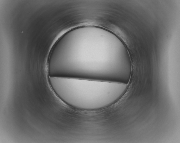 X0000112361428200908131225